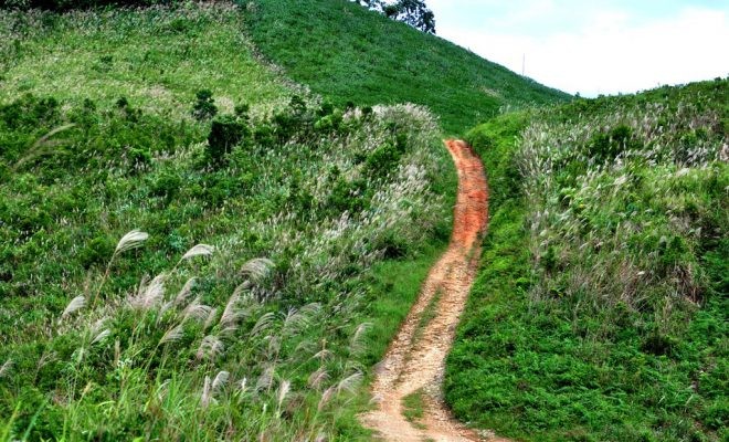 Núi Cà Đam - Quảng Ngãi Tourist