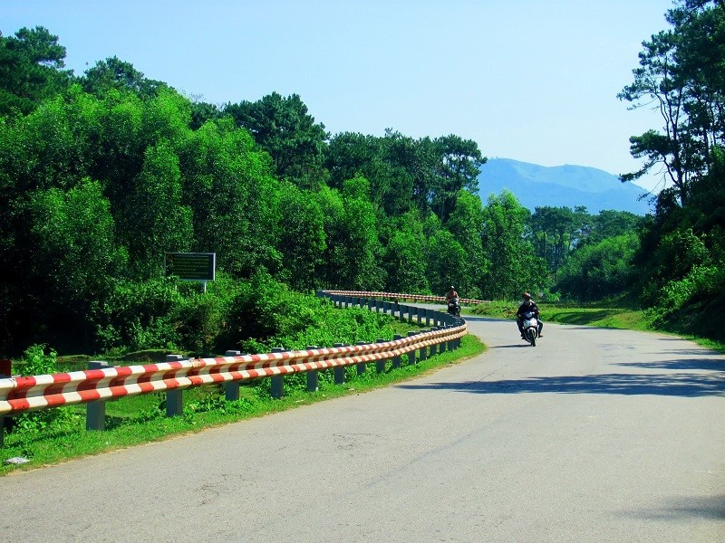 Đèo Violet - Quảng Ngãi Tourist