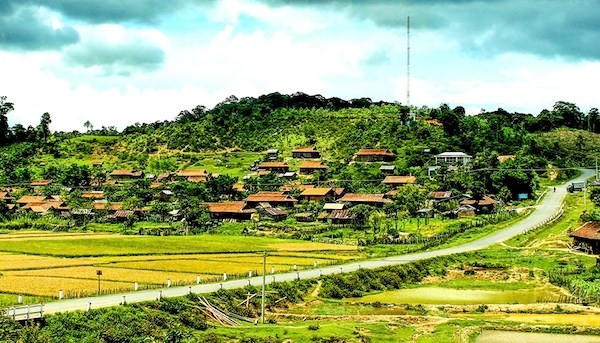 Đèo Violet - Quảng Ngãi Tourist
