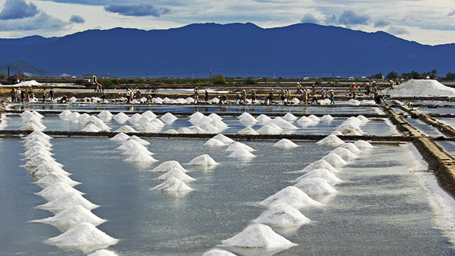 CẨM NANG DU LỊCH QUẢNG NGÃI